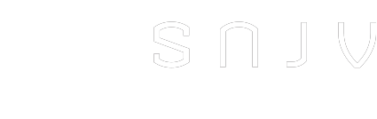 National Video Game Syndicate